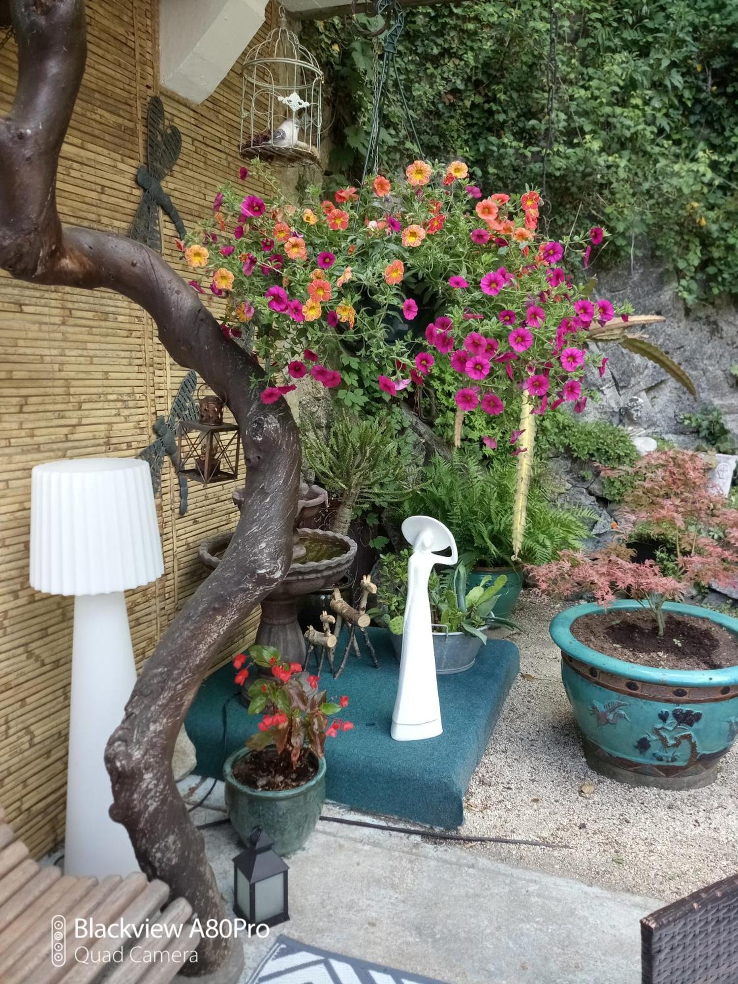 Studio Malou avec cuisine toute équipée et terrasse aménagée Olliergues Extérieur photo
